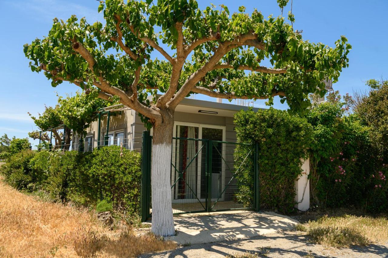 卡拉马基Petrakis Afrathias Garden House别墅 外观 照片